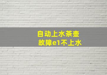 自动上水茶壶故障e1不上水