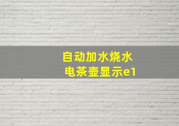 自动加水烧水电茶壶显示e1