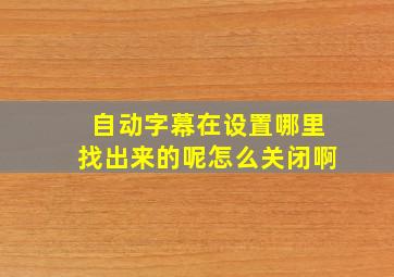 自动字幕在设置哪里找出来的呢怎么关闭啊