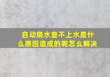 自动烧水壶不上水是什么原因造成的呢怎么解决