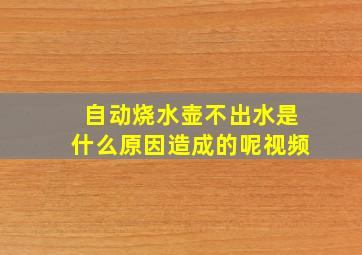 自动烧水壶不出水是什么原因造成的呢视频