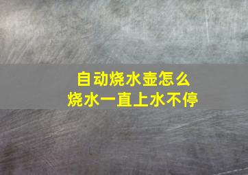 自动烧水壶怎么烧水一直上水不停