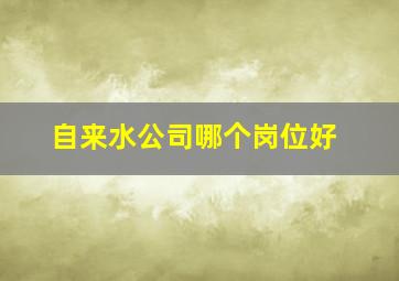 自来水公司哪个岗位好