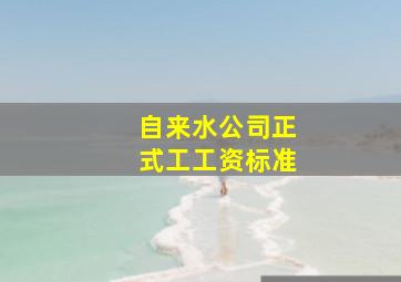 自来水公司正式工工资标准