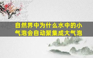 自然界中为什么水中的小气泡会自动聚集成大气泡