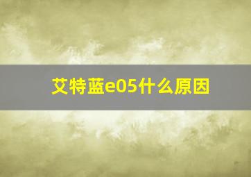 艾特蓝e05什么原因