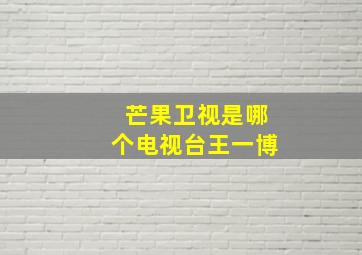 芒果卫视是哪个电视台王一博