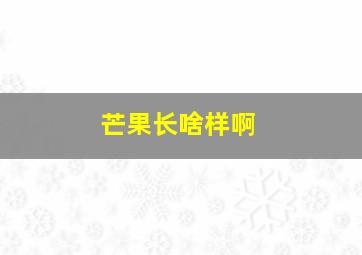 芒果长啥样啊