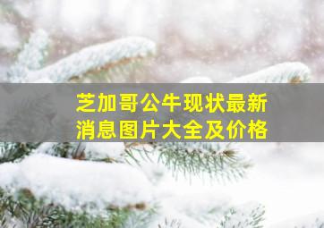 芝加哥公牛现状最新消息图片大全及价格