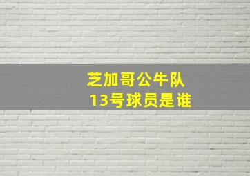 芝加哥公牛队13号球员是谁