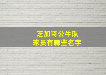 芝加哥公牛队球员有哪些名字