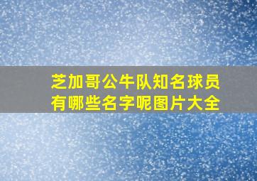 芝加哥公牛队知名球员有哪些名字呢图片大全