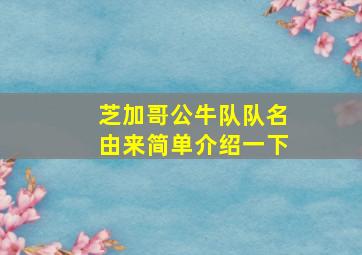 芝加哥公牛队队名由来简单介绍一下