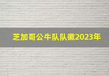 芝加哥公牛队队徽2023年