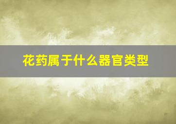 花药属于什么器官类型