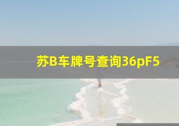 苏B车牌号查询36pF5