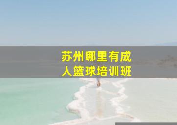 苏州哪里有成人篮球培训班