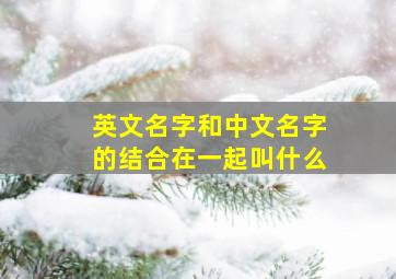 英文名字和中文名字的结合在一起叫什么