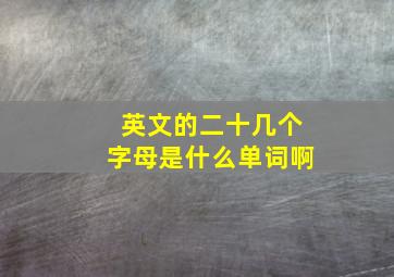 英文的二十几个字母是什么单词啊