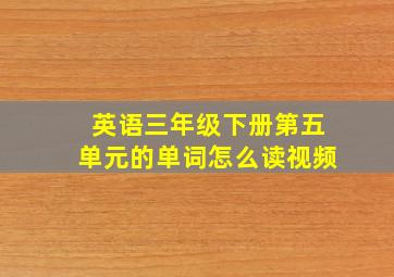 英语三年级下册第五单元的单词怎么读视频