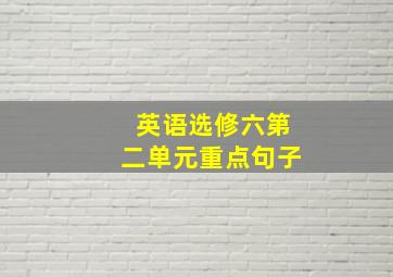 英语选修六第二单元重点句子