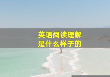 英语阅读理解是什么样子的