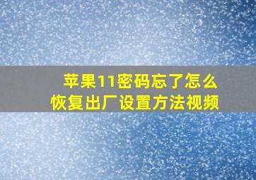 苹果11密码忘了怎么恢复出厂设置方法视频