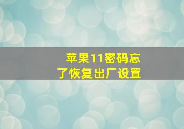 苹果11密码忘了恢复出厂设置