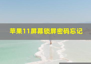 苹果11屏幕锁屏密码忘记