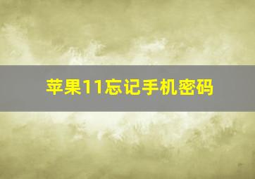 苹果11忘记手机密码