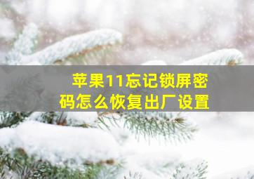 苹果11忘记锁屏密码怎么恢复出厂设置