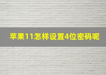 苹果11怎样设置4位密码呢