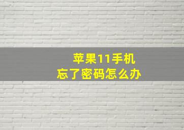 苹果11手机忘了密码怎么办