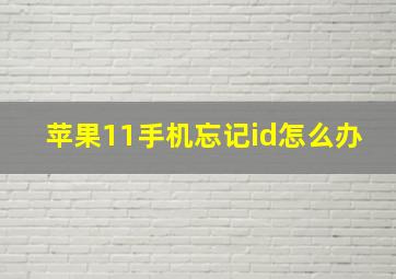 苹果11手机忘记id怎么办