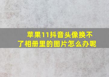 苹果11抖音头像换不了相册里的图片怎么办呢