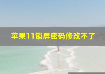 苹果11锁屏密码修改不了