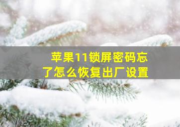 苹果11锁屏密码忘了怎么恢复出厂设置