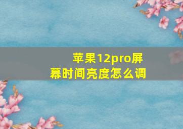 苹果12pro屏幕时间亮度怎么调