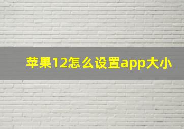 苹果12怎么设置app大小