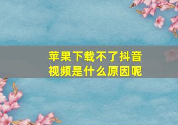 苹果下载不了抖音视频是什么原因呢