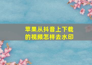 苹果从抖音上下载的视频怎样去水印