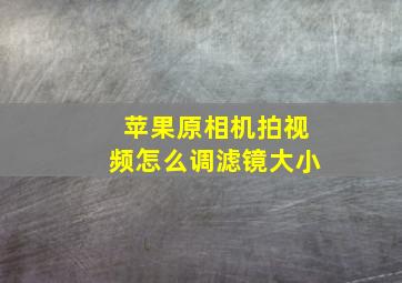 苹果原相机拍视频怎么调滤镜大小