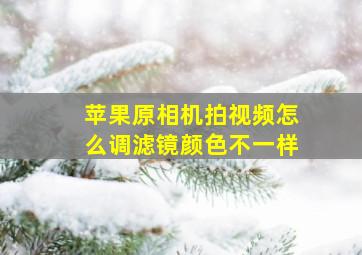 苹果原相机拍视频怎么调滤镜颜色不一样