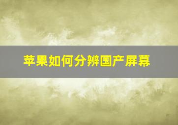 苹果如何分辨国产屏幕