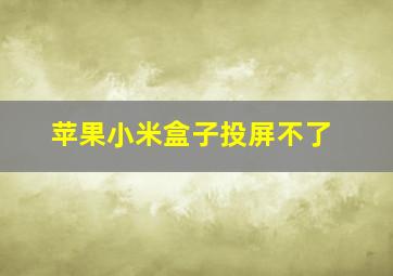 苹果小米盒子投屏不了