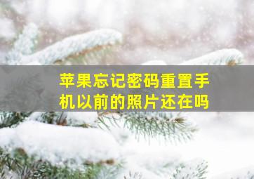 苹果忘记密码重置手机以前的照片还在吗