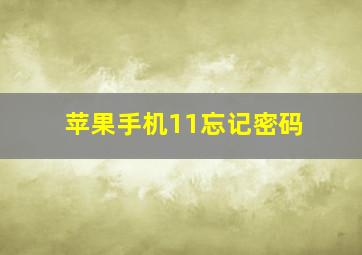 苹果手机11忘记密码