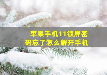 苹果手机11锁屏密码忘了怎么解开手机