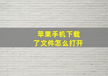 苹果手机下载了文件怎么打开