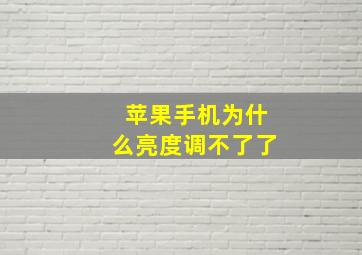 苹果手机为什么亮度调不了了